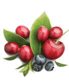dried cherry